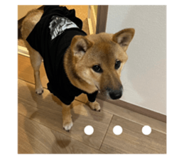 716273749