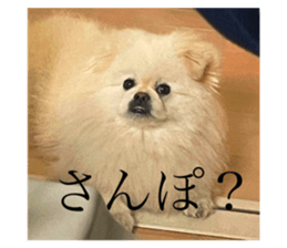 716283314