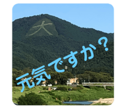 716303354