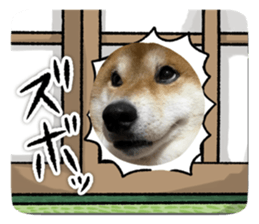 716320685