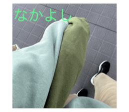 716329797