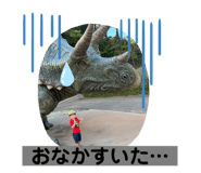 716356403