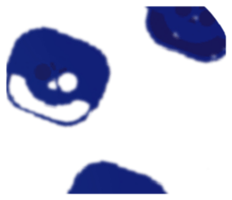 716357651