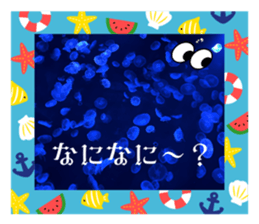716362645