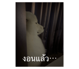 716364083