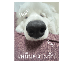 716364086