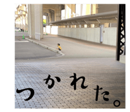 716372023