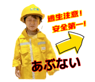 716389493