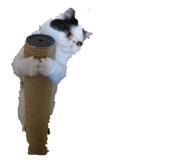 716396630