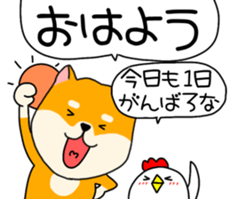 716423505