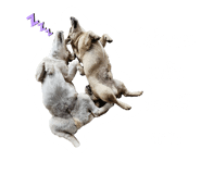 716432653