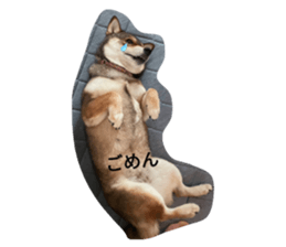 716536212