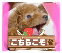 716567565