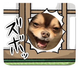 716572275