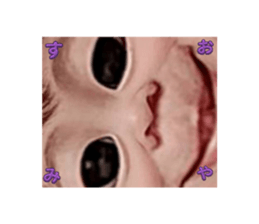 716603785