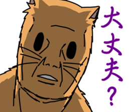 716620946