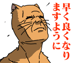 716620954