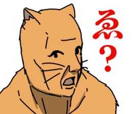 716620961