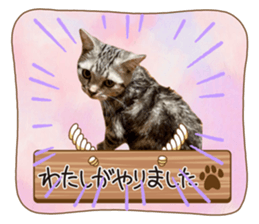 716663124