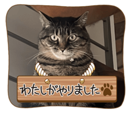716678645