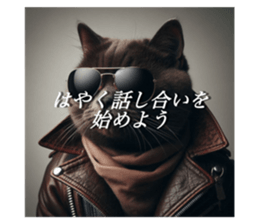 716680646