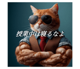 716680667