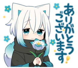 716774497