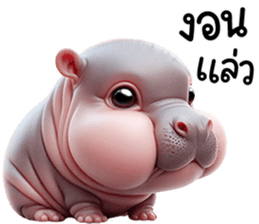 หมูดุ้งฮิปโปตัวกลมเด้งน่ารัก รูปที่ 7