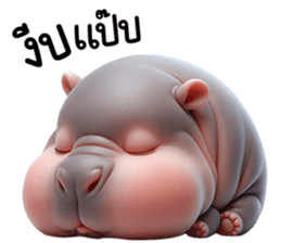 หมูดุ้งฮิปโปตัวกลมเด้งน่ารัก รูปที่ 16