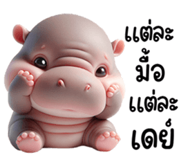 หมูดุ้งฮิปโปตัวกลมเด้งน่ารัก รูปที่ 18
