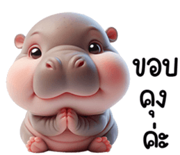 หมูดุ้งฮิปโปตัวกลมเด้งน่ารัก รูปที่ 19