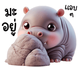 หมูดุ้งฮิปโปตัวกลมเด้งน่ารัก รูปที่ 22