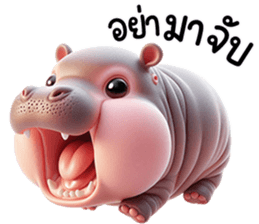 หมูดุ้งฮิปโปตัวกลมเด้งน่ารัก รูปที่ 24