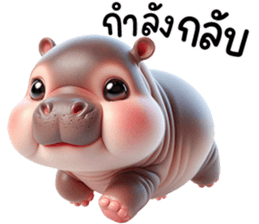 หมูดุ้งฮิปโปตัวกลมเด้งน่ารัก รูปที่ 26