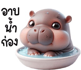 หมูดุ้งฮิปโปตัวกลมเด้งน่ารัก รูปที่ 38