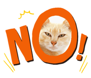 716809020