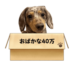 716835602