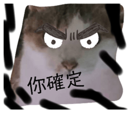 716862141