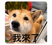 716925441