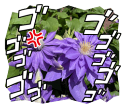 716964189