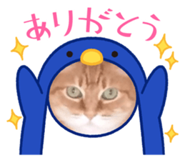 716968396