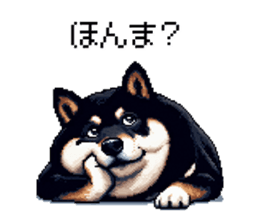 717056502