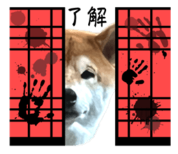 717059018