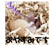 717081080