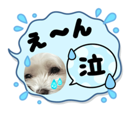 717086837