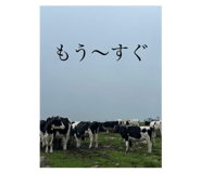 717136818