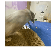717193582