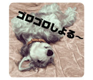 717223499