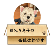 717223527