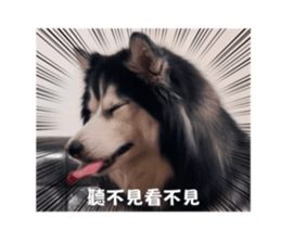 717228090